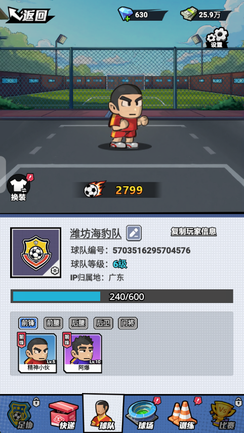 足球大人物