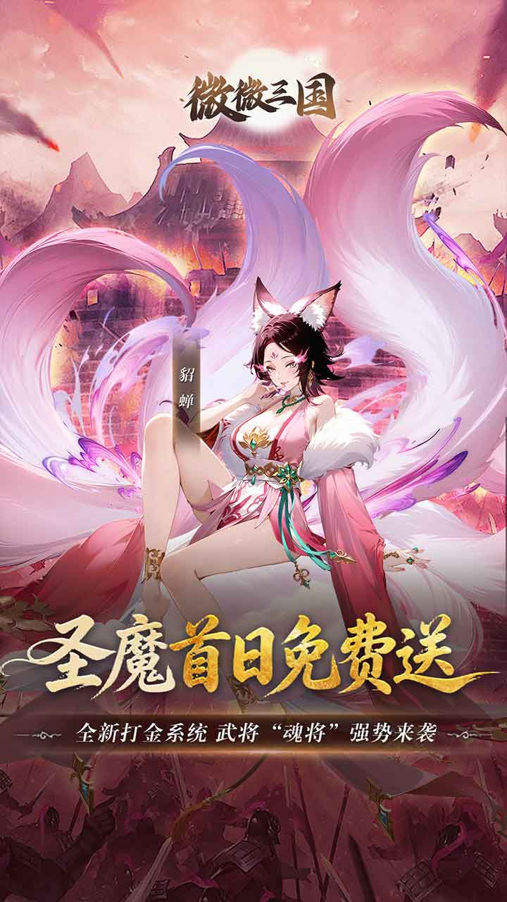 微微三国