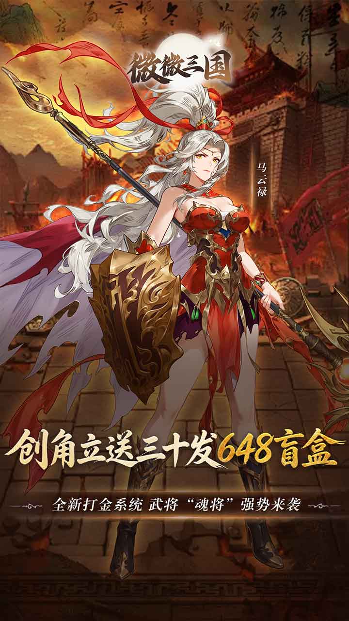 微微三国